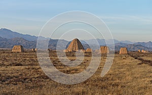 Western Xia Imperial Tombs