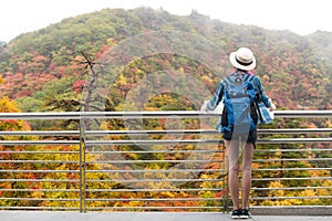 Westerner traveller woman with map in hand admiring view of atumn landscape in japan