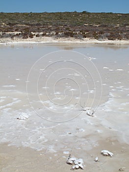 Westernmost Point, Shark Bay, Western Australia