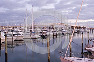Westhaven Dawn photo