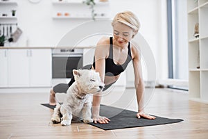 Westie falling asleep while owner practising yoga at home