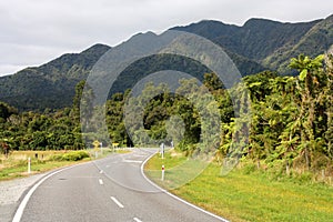 Westland National Park