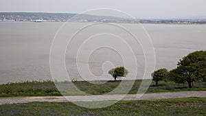 Weston-super-mare bay and bluebells Somerset England from Brean Down