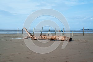 Weston-super-Mare. UK. After storm beach hunt photo