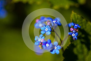 Westpark in spring in Munich, blue sky