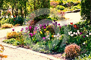 Westpark in spring in Munich, blue sky