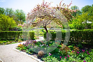 Westpark in spring in Munich, blue sky