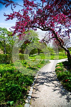 Westpark in spring in Munich, blue sky