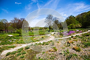 Westpark in spring in Munich, blue sky