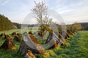 Westwall, Eifel, North Rhine Westphalia, Germany