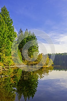 Westwood lake during the fall in Nanaimo, BC, Canada photo