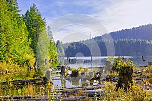 Westwood lake during the fall in Nanaimo, BC, Canada photo