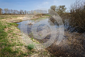 Wet areas in an uncultivated meadow