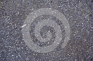 Wet asphalt after the rain, the greyness