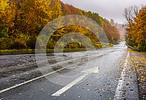 Wet asphalt road through forest in deep autumn