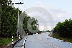 Wet asphalt road with trees beside into the destination