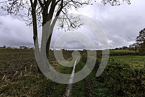 Wet autumnal day in agricultural landscape of Gulpen, South Limburg, The Netherlands