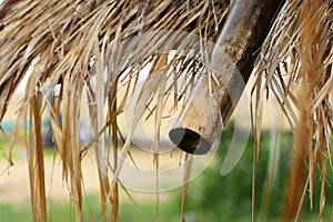 Wet bamboo roof with raindrop after raining in rainy season