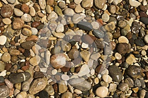 Wet beach pebbles background