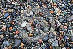 Wet beach rocks