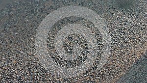 Wet beach sand, close-up