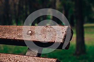 Wet bench in the park in the rain. Rainy weather. Wooden chair in the rain. Wet urban furniture. Rain drops on wooden