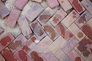 Wet Brick Pavers From Walkway on Coast are Spread Apart and Damaged After Flooding From a Hurricane