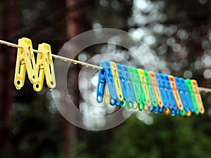 Wet bright multicolored clothespins after a rain.