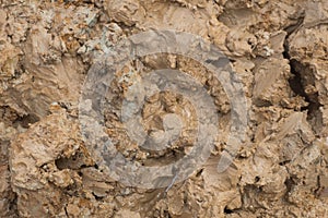 Wet brown clay