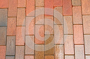 Wet brown pavement.