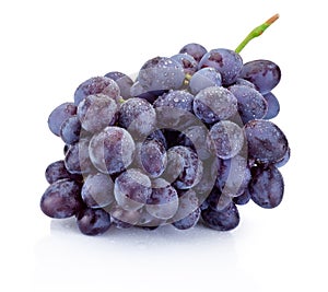 Wet bunch of blue grapes isolated on white background