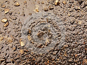 Wet burnt ash of grass solidified by rain into dark mud. Water hanged ash into cover