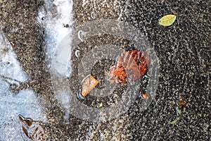 Wet cement floor