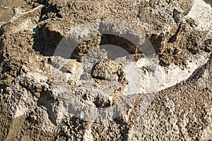 Wet cement texture of construction for background