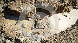 Wet cement texture of construction for background