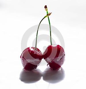 Wet cherry berry white background macro two isolate shaddow fresh