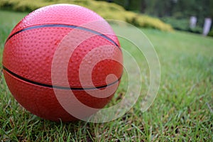 Basketball ball lying on fresh grass after the rain.