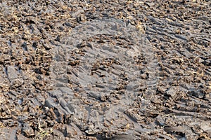 Wet clod clay soil at the construction site ready to develop for real estate project. soil in the rice field ready to grow a new