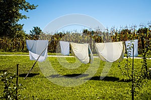 Wet clothes drying in the rope line