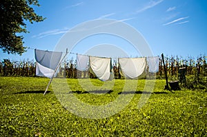 Wet clothes in the washing line