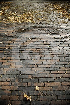 Wet cobbled floor