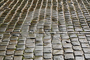 Wet cobbles of block pavement