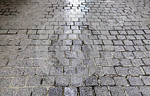 Wet cobblestone floor