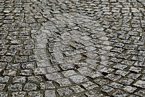 Wet cobblestone pavement after the rain
