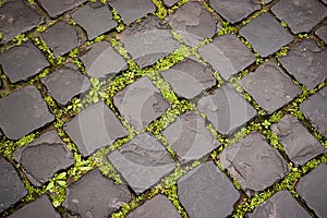 Wet cobblestone road