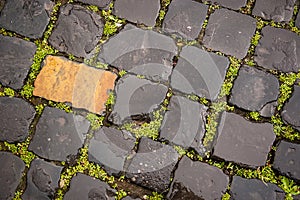 Wet cobblestone road