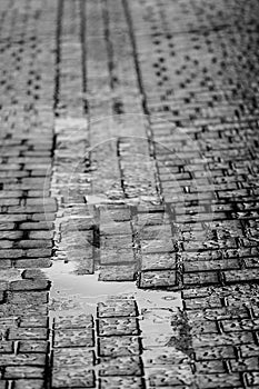 Wet Cobblestone Road