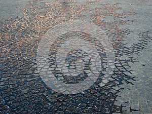 Wet cobblestones in Belgium