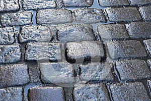 Wet Cobblestones Bruges