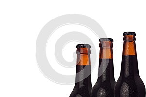 Wet cold brown dark beer bottles closeup, half bottle view, isolated on white background.